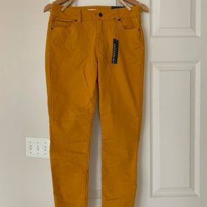 Artisan NY Skinny Jeans, Size 6, Gold